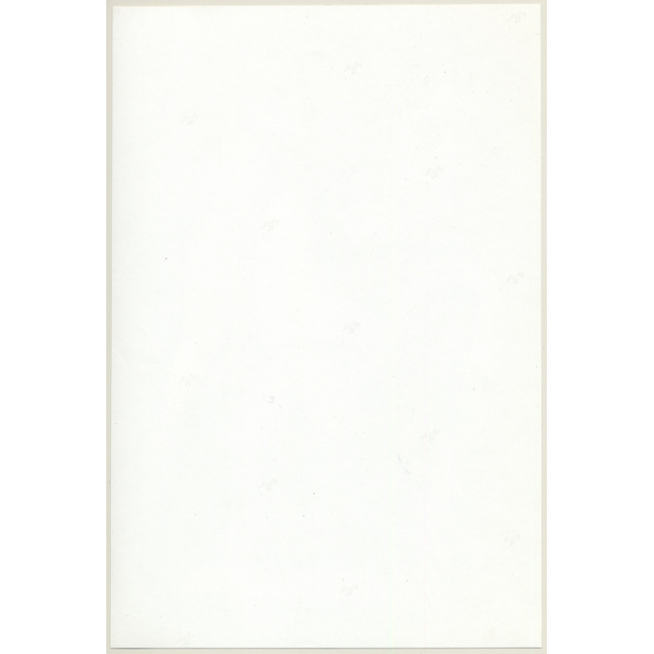 Jerri Bram (1942): Artistic Portrait Of Natural Nude Couple (Large Vintage Photo ~1970s)