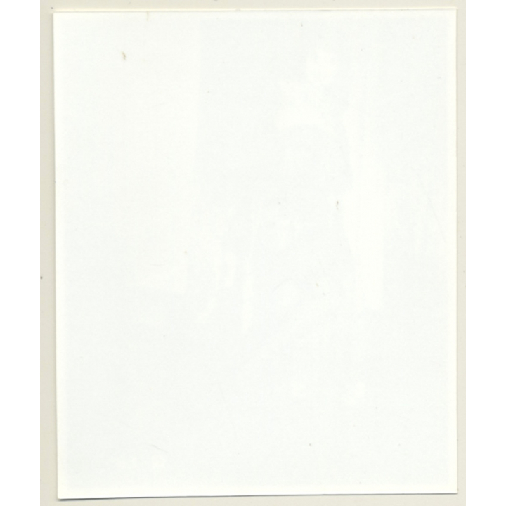 Irving Klaw: Bettie Page In Fancy Outfit Q-251 / Pin-Up - BDSM (Vintage Photo USA)