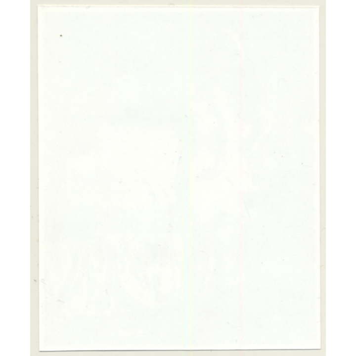 Irving Klaw: Bettie Page In White Lingerie 8107 / Pin-Up - BDSM (Vintage Photo USA)