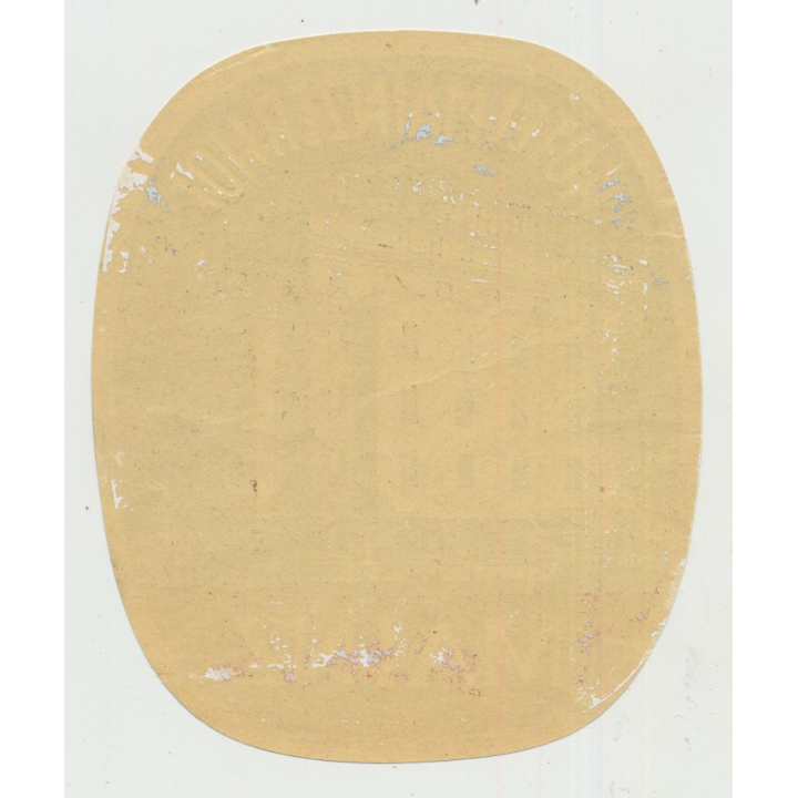 Hotel Mainzer Hof - Mainz / Germany (Vintage Luggage Label)