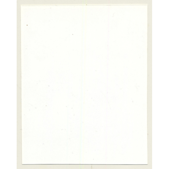 Irving Klaw: Maid Measures Bettie Pages' Thighs P-492 / Pin-Up - BDSM (Vintage Photo USA)