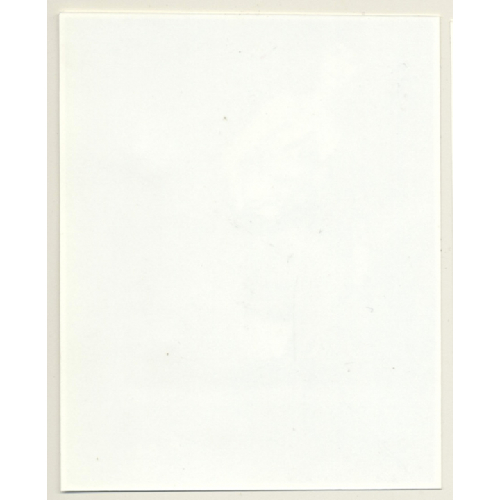 Irving Klaw: Bettie Page With Clown Doll P-561 / Pin-Up - BDSM (Vintage Photo USA)