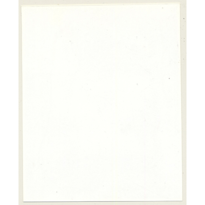 Irving Klaw: Bettie Page With Clown Doll P-548 / Pin-Up - BDSM (Vintage Photo USA)