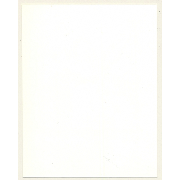 Irving Klaw: Bettie Page Showing Her Leg Q-245 / Pin-Up - BDSM (Vintage Photo USA)