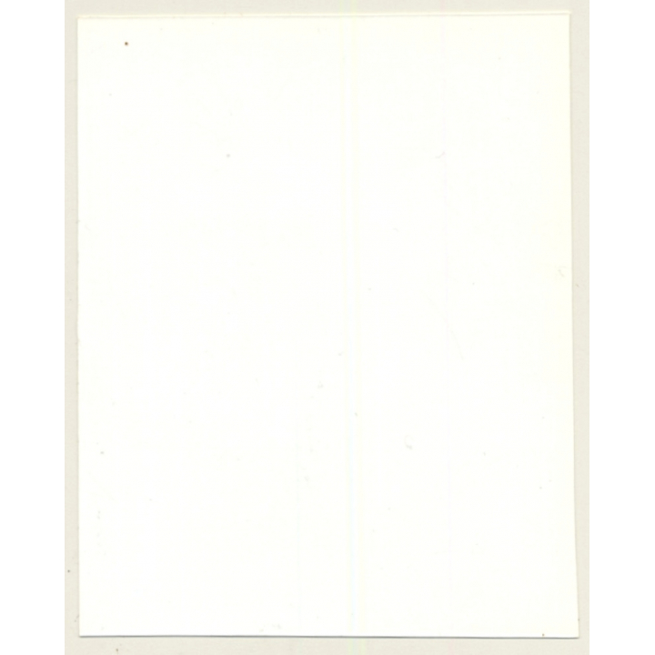 Irving Klaw: Bettie Page Lifts Negligee Q-254 / Pin-Up - BDSM (Vintage Photo USA)