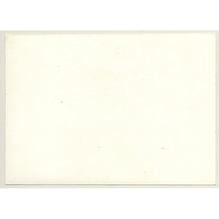 Natural Longhaired Nude On Blanket (Vintage Photo GDR ~1970s/1980s)