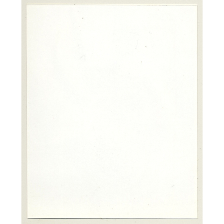 Irving Klaw: Kneeling Bettie Page In Black Lingerie P-528 / Pin-Up - BDSM (Vintage Photo USA)