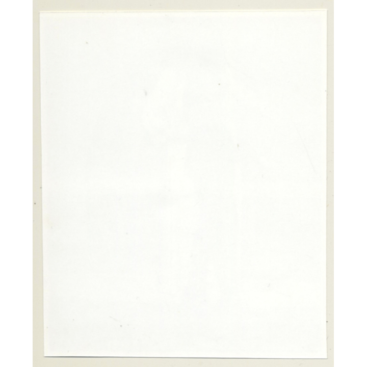 Irving Klaw: Bettie Page In Satin Morning Gown 2097 / Pin-Up - BDSM (Vintage Photo USA)