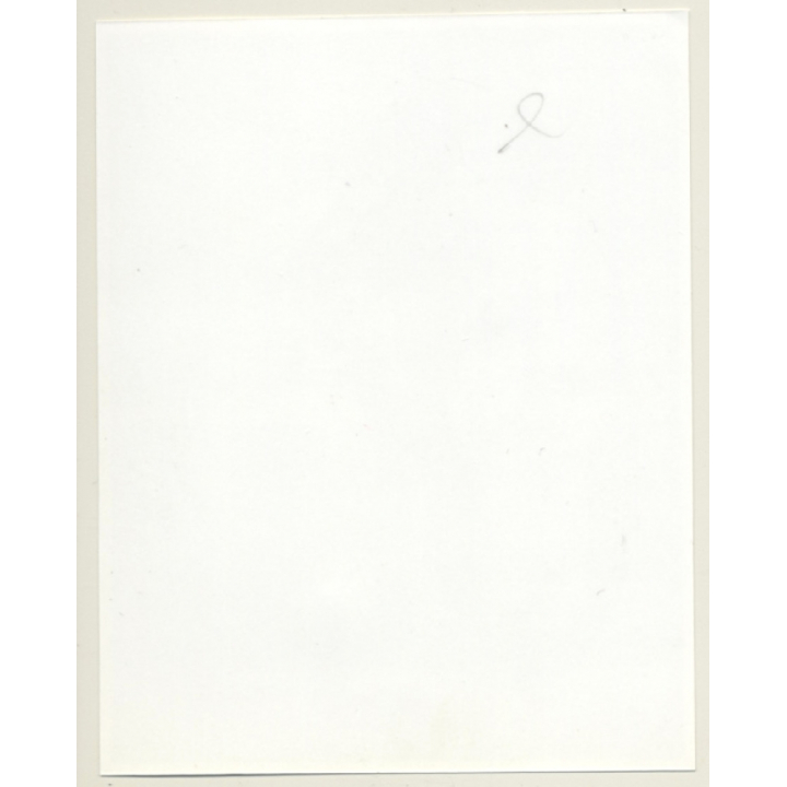 Irving Klaw: Bettie Page In Laced Up Body 1645 / Pin-Up - BDSM (Vintage Photo USA)