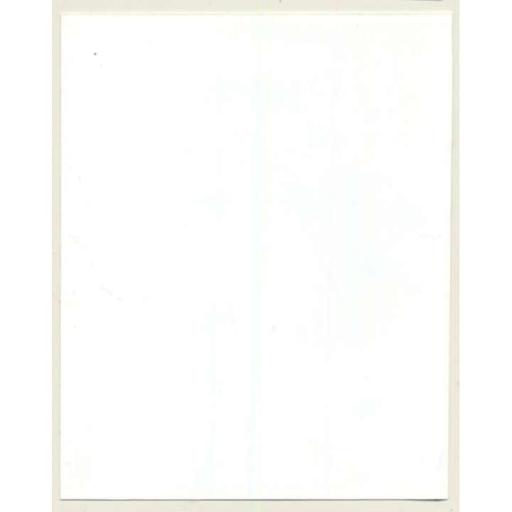 Irving Klaw: Angry Bettie Page With Whip 2109 / Pin-Up - BDSM (Vintage Photo USA)