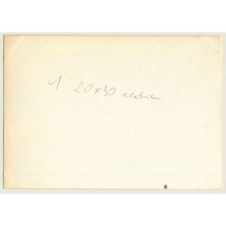 Le Mans 1964: N°3 AC Cobra Coupe / Bolton - Sears (Vintage Photo)