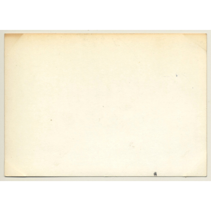 Le Mans 1964: N°3 AC Cobra Coupe*2 / Bolton - Sears (Vintage Photo)