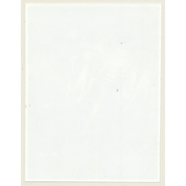 Irving Klaw: Bettie Page Bends Forward - Garter 3425 / Pin-Up - BDSM (Vintage Photo USA)