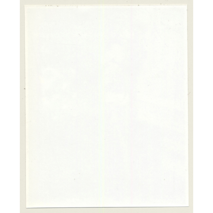 Irving Klaw: Bettie Page In Black Stockings 4611 / Pin-Up - BDSM (Vintage Photo USA)