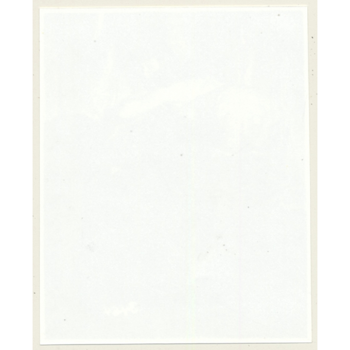 Irving Klaw: Bettie Page In Transparent Skirt 3454 / Pin-Up - BDSM (Vintage Photo USA)