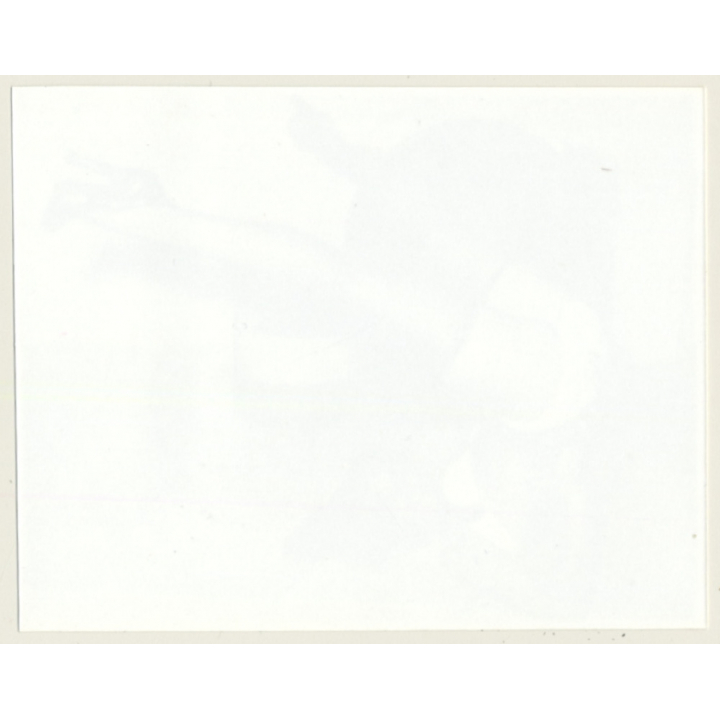 Irving Klaw: Bettie Page Doing Candlestick Z-267 / Pin-Up - BDSM (Vintage Photo USA)