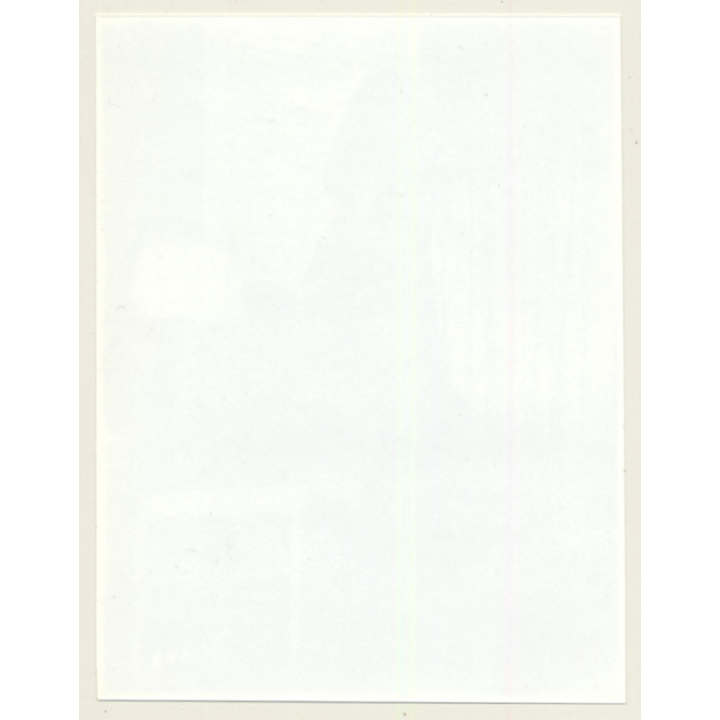 Irving Klaw: Bettie Page Dancing - Flower Bra Y-943 / Pin-Up - BDSM (Vintage Photo USA)