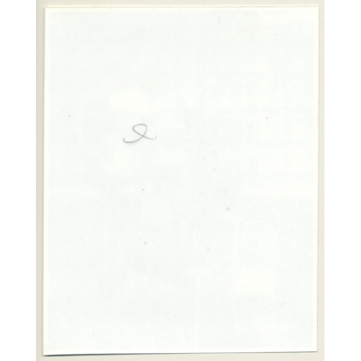 Irving Klaw: Bettie Page In White Lingerie R-800 / Pin-Up - BDSM (Vintage Photo USA)