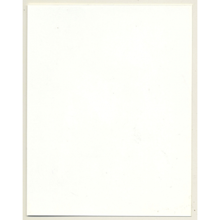 Irving Klaw: Bettie Page  In Maid Outfit Y-902 / Pin-Up - BDSM (Vintage Photo USA)