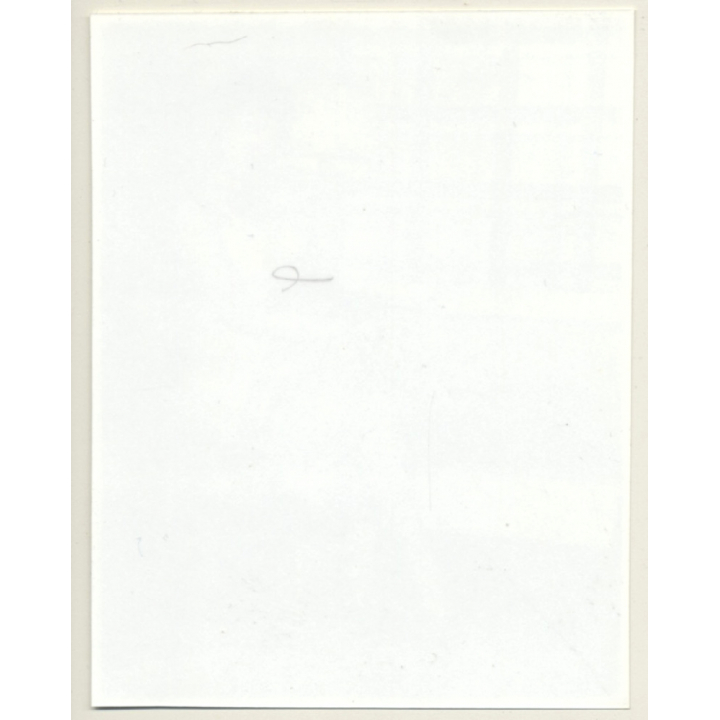 Irving Klaw: Bettie Page In White Lingerie R-798 / Pin-Up - BDSM (Vintage Photo USA)