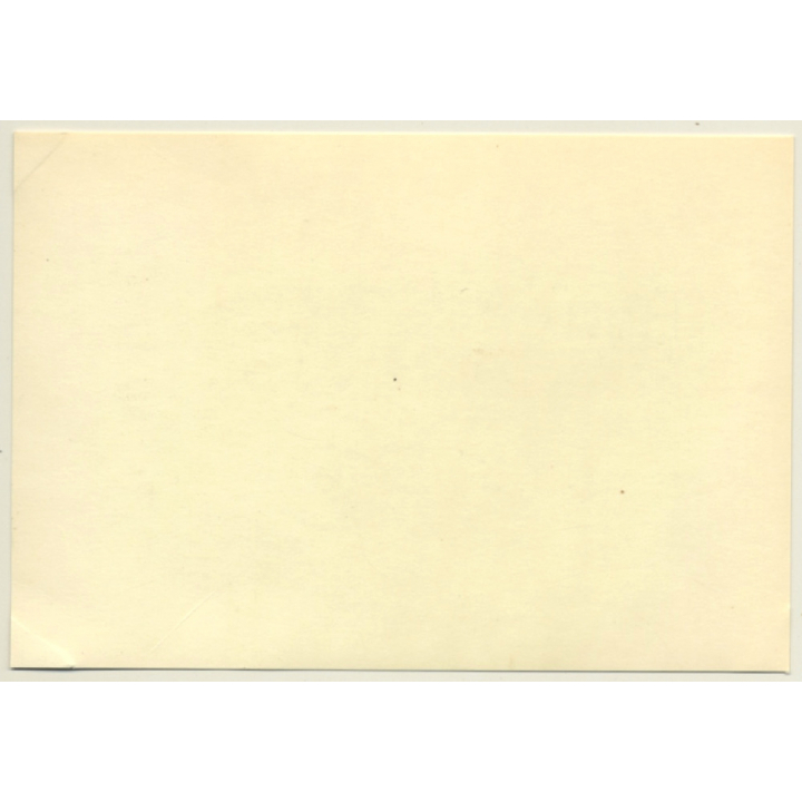 Tour De France 1964: N°19 Austin Mini Cooper S / Hopkirk - Liddon (Vintage Photo)