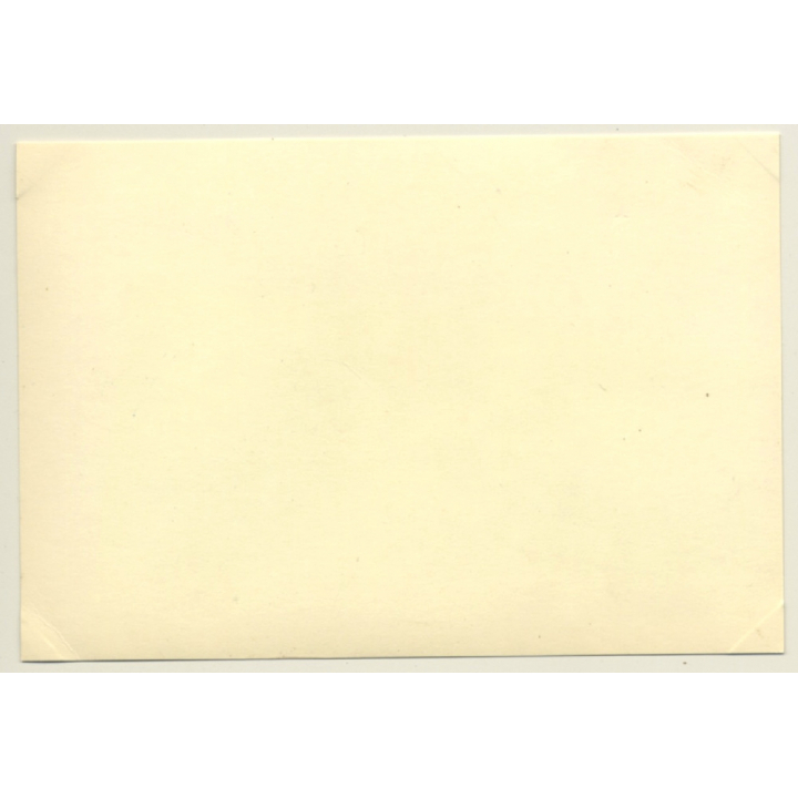 Tour De France 1964: N°85 & 82 Ford Mustangs / Alan Mann Racing (Vintage Photo)