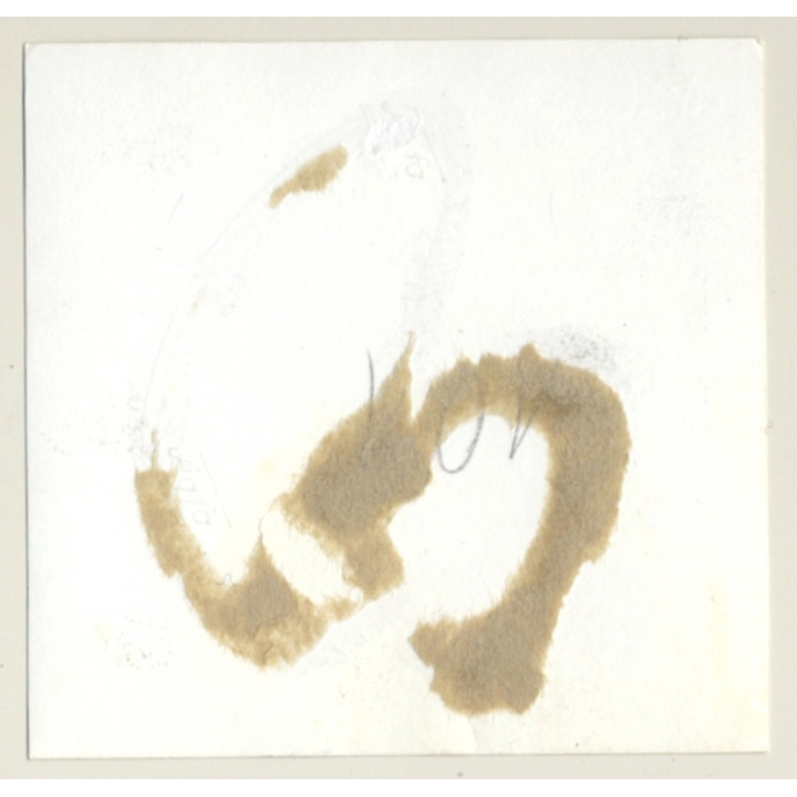 Darkhaired Maid In Bondage / Hand & Foot Cuffs - BDSM (2nd Gen.Photo ~1960s)