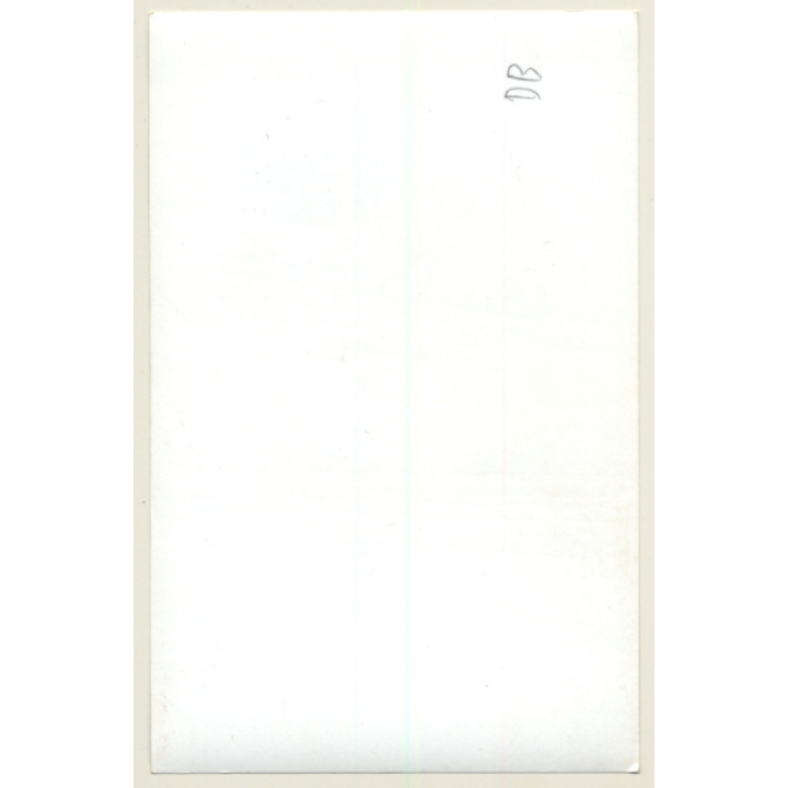 Slim Busty Female Lifts T-Shirt & Shows Big Boobs In Bra (Vintage Photo ~1960s/1970s)