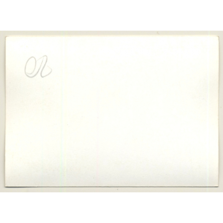 Nivelles-Baulers GP Formula 1: N°8 Francois Cevert - Tyrell 002 Ford (Vintage Photo 1972)