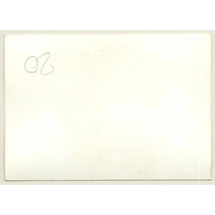 Nivelles-Baulers GP Formula 1: N°36 Andrea De Adamich - Surtees Ford TS9B (Vintage Photo 1972)