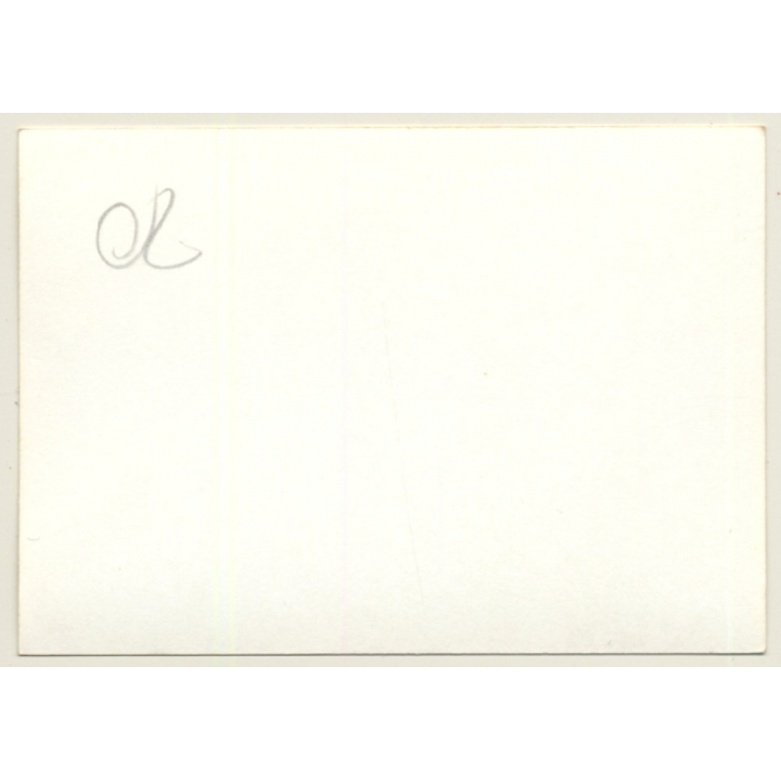 Nivelles-Baulers GP Formula 1: N°12 Niki Lauda - March Ford 721X (Vintage Photo 1972)