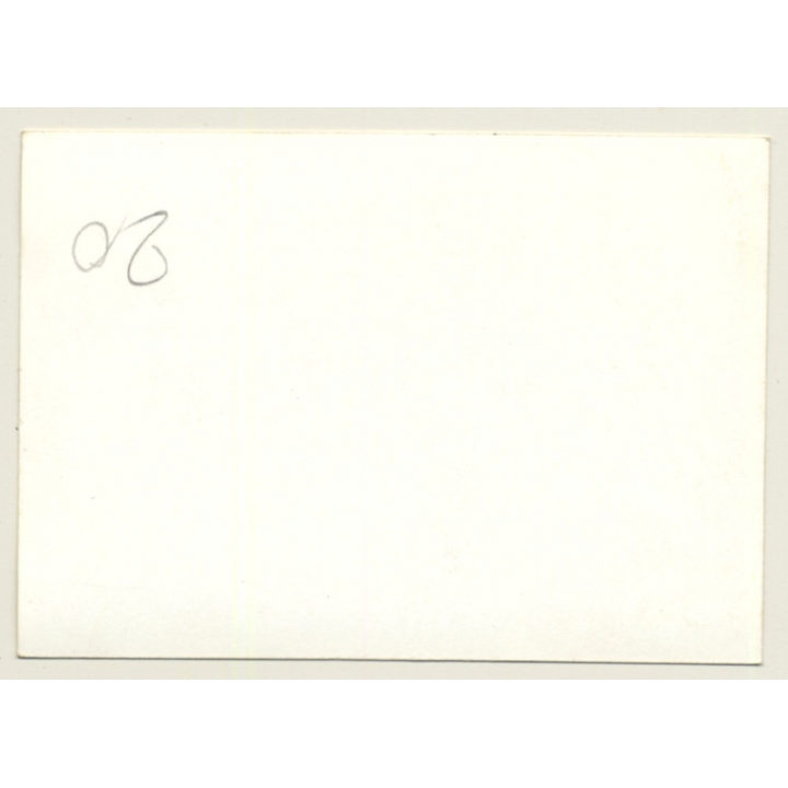 Nivelles-Baulers GP Formula 1: N°10 Peter Revson - McLaren Ford (Vintage Photo 1972)