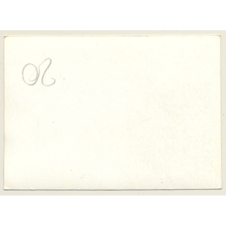 Nivelles-Baulers GP Formula 1: Brazilian Fittipaldi Fans On Tribune (Vintage Photo 1972)