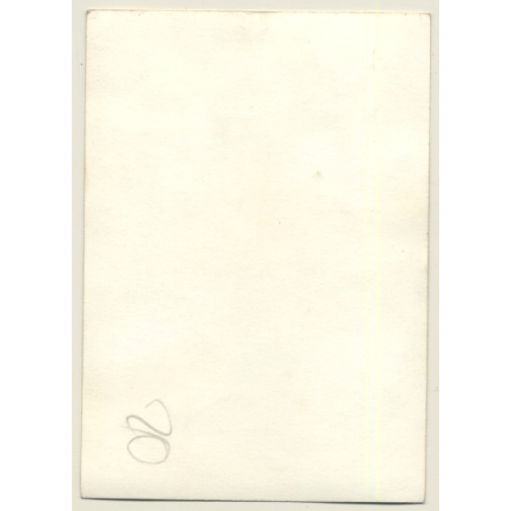 Nivelles-Baulers GP Formula 1: N°22 Nanni Galli In Pit - Tecno (Vintage Photo 1972)