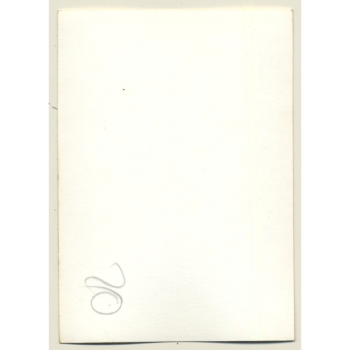 Nivelles-Baulers GP Formula 1: N°35 Tim Schenken - Surtees Ford (Vintage Photo 1972)