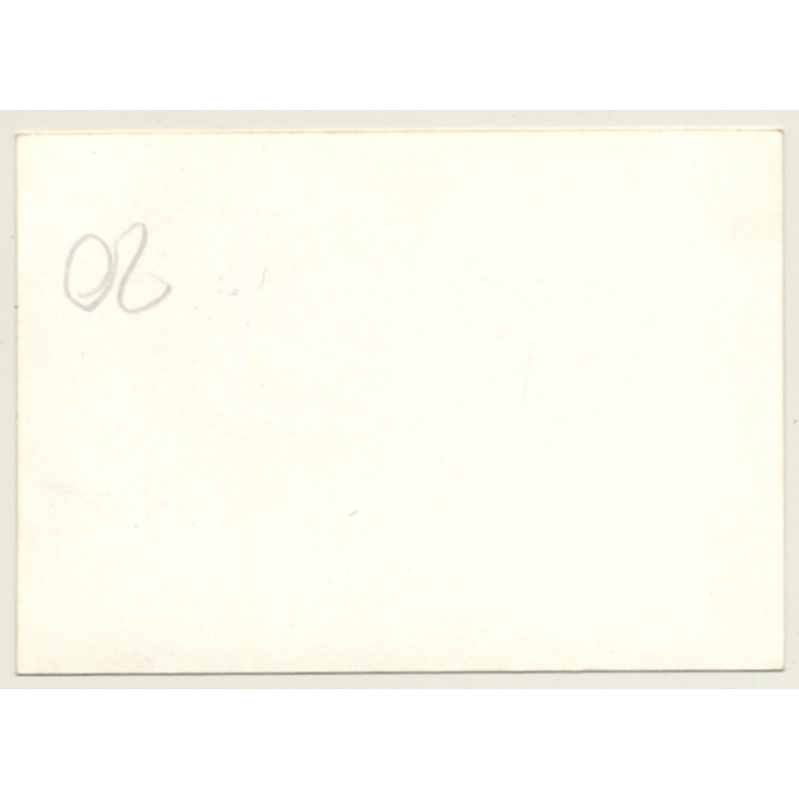 Nivelles-Baulers GP Formula 1: N°32 Emerson Fittipaldi In Pit Lane - Lotus Ford (Vintage Photo 1972)