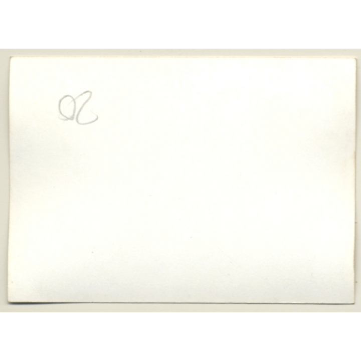 Nivelles-Baulers GP Formula 1: N°33 Dave Walker - Lotus Ford (Vintage Photo 1972)