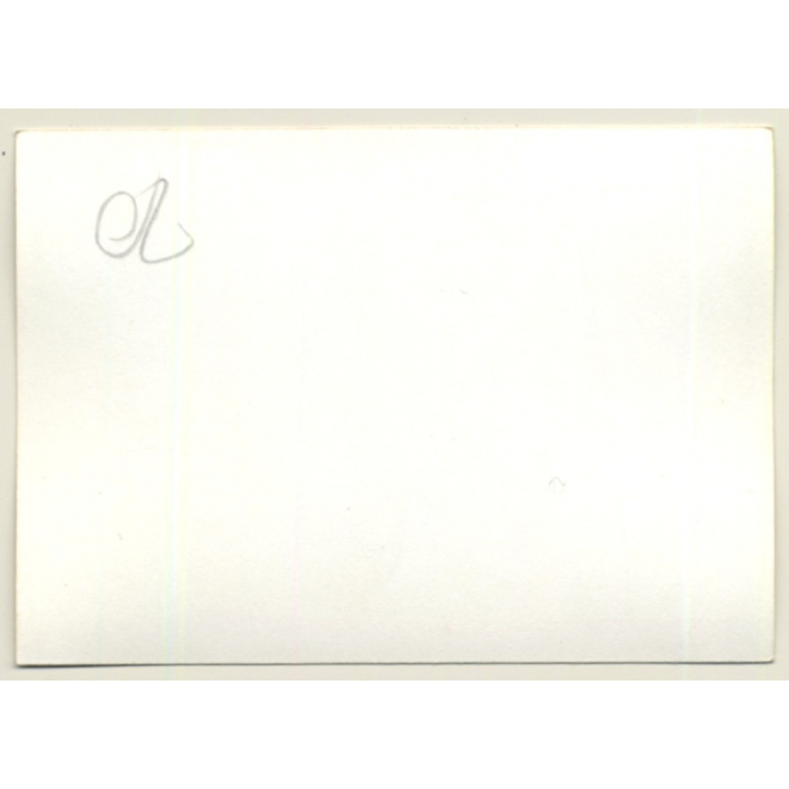 Nivelles-Baulers GP Formula 1: Car Getting Fixed In Pit (Vintage Photo 1972)