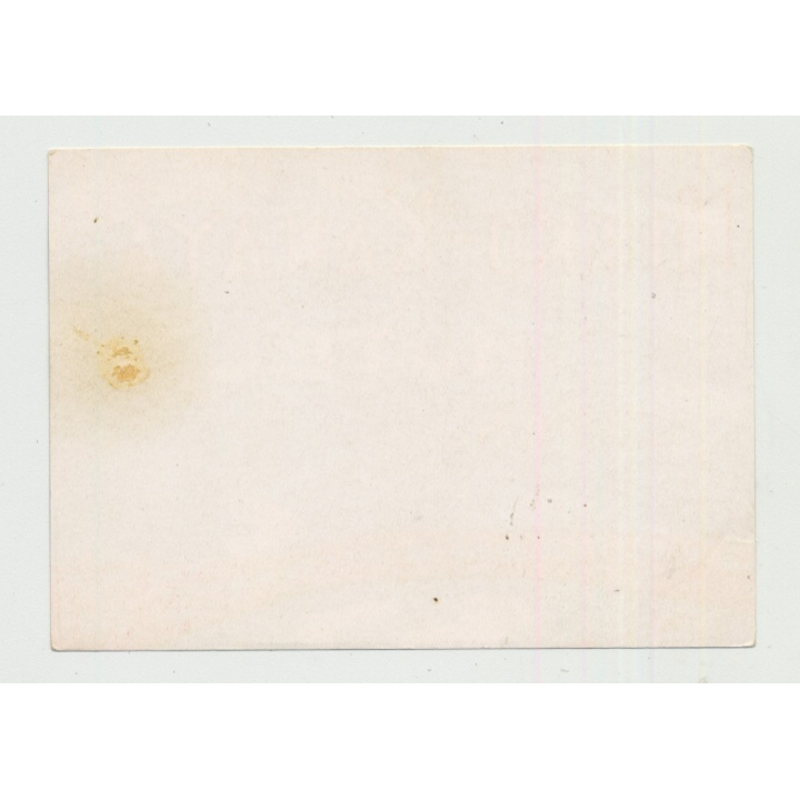 Nikko-Kanaya Hotel / Japan (Vintage Luggage Label)