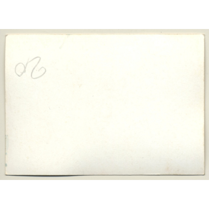 Nivelles-Baulers GP Formula 1: N°18 Wilson Fittipaldis' Ford Brabham At Start (Vintage Photo 1972)