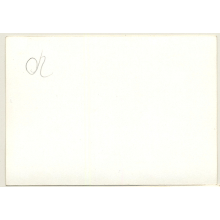 Nivelles-Baulers GP Formula 1: N°29 Denny Hulme - McLaren M19C On Track (Vintage Photo 1972)