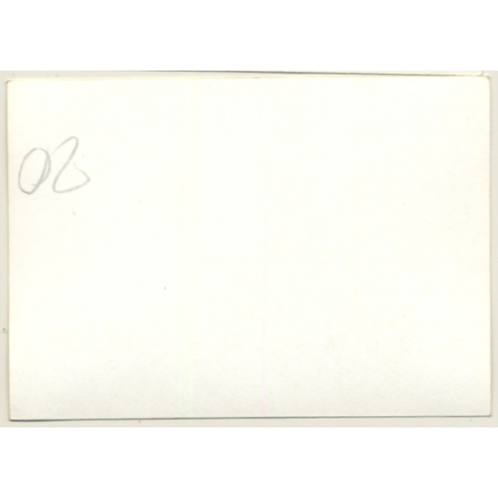 Nivelles-Baulers GP Formula 1: Drivers On On Track*1 / Fittipaldi (Vintage Photo 1972)