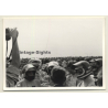 Nivelles-Baulers GP Formula 1: Drivers On On Track*2 (Vintage Photo 1972)