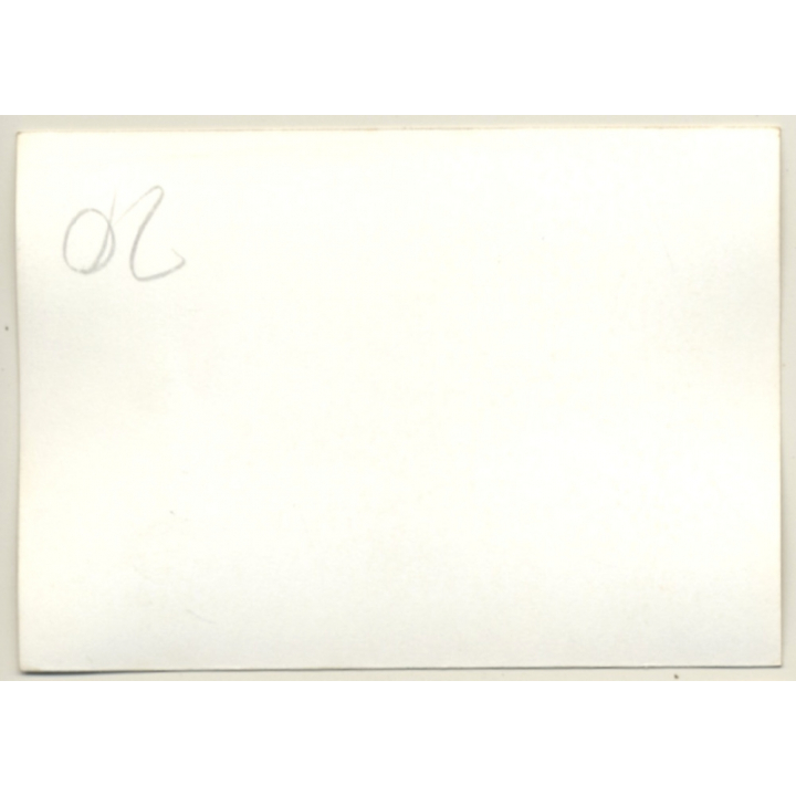 Nivelles-Baulers GP Formula 1: N°33 Dave Walker Getting Instructions (Vintage Photo 1972)