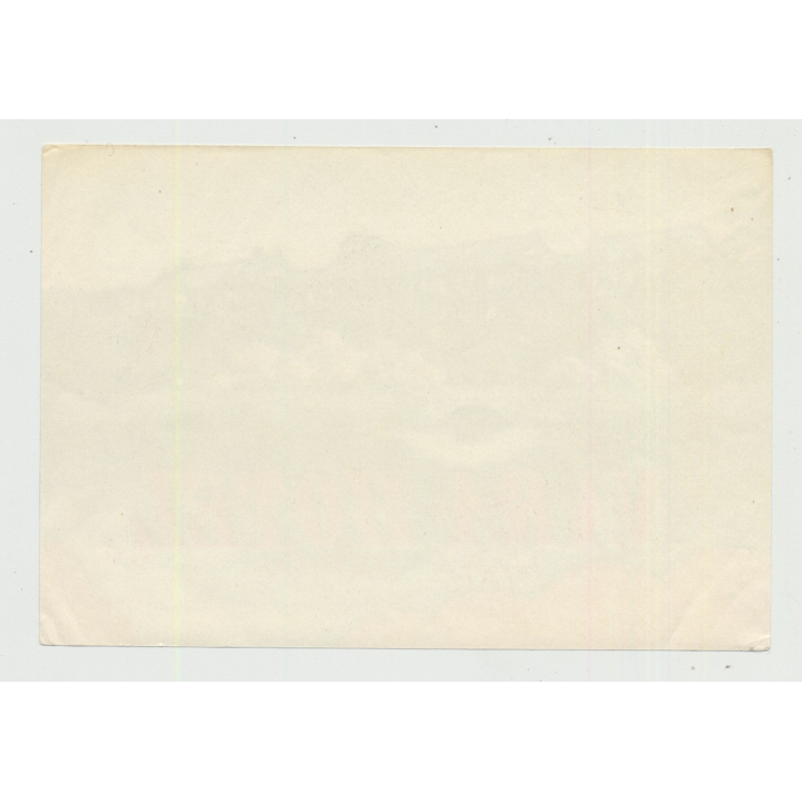 Nara Hotel - Nara / Japan (Vintage Luggage Label Large)