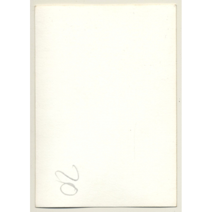 Nivelles-Baulers GP Formula 1: N°18 Wilson Fittipaldi On Race Track (Vintage Photo 1972)