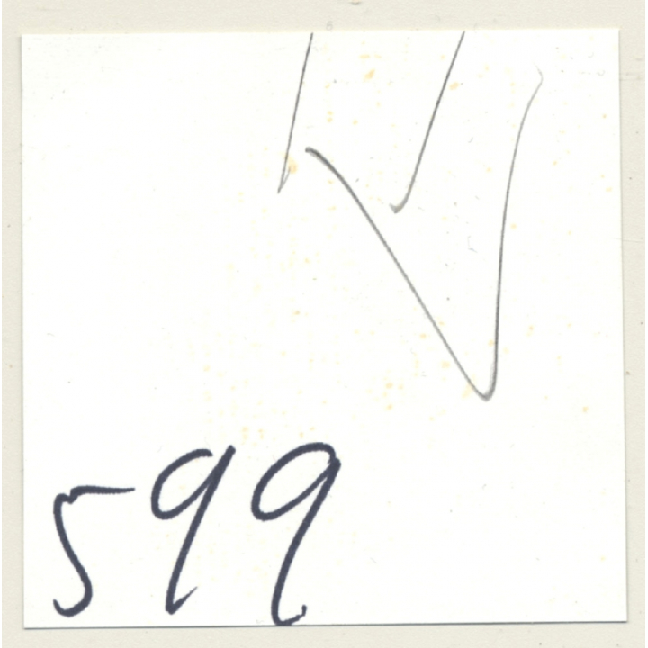 3 Lacquer Ladies In Hot Catfight *2 / Wrestling (Vintage Contact Sheet Photo 1970s)