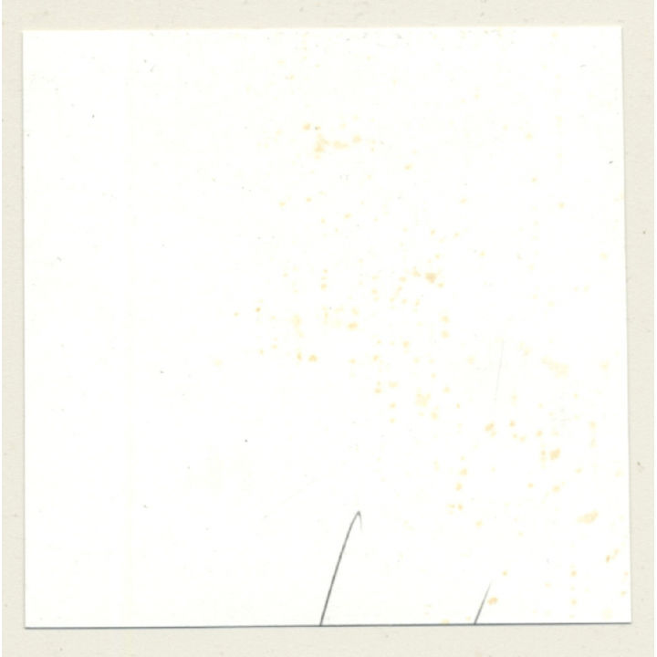 3 Lacquer Ladies In Hot Catfight *3 / Wrestling (Vintage Contact Sheet Photo 1970s)