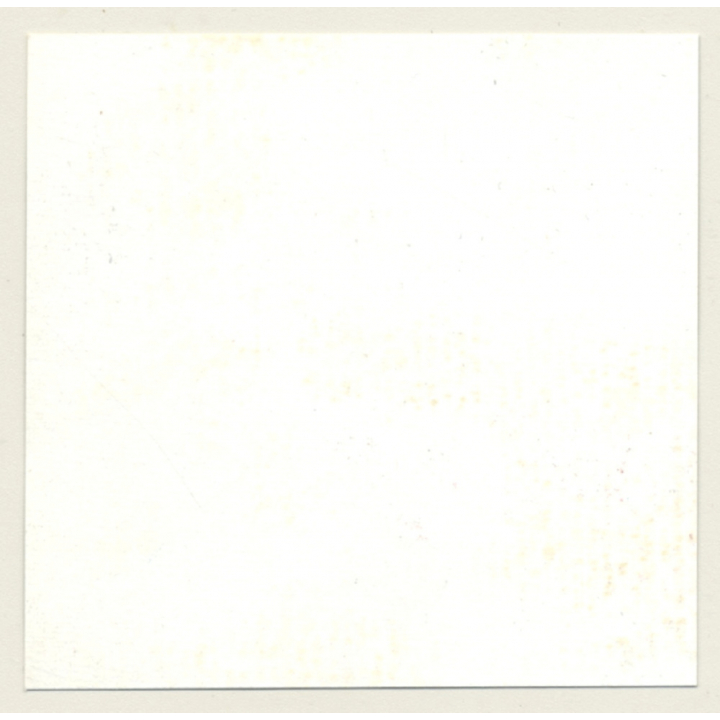 3 Lacquer Ladies In Hot Catfight *5 / Wrestling (Vintage Contact Sheet Photo 1970s)