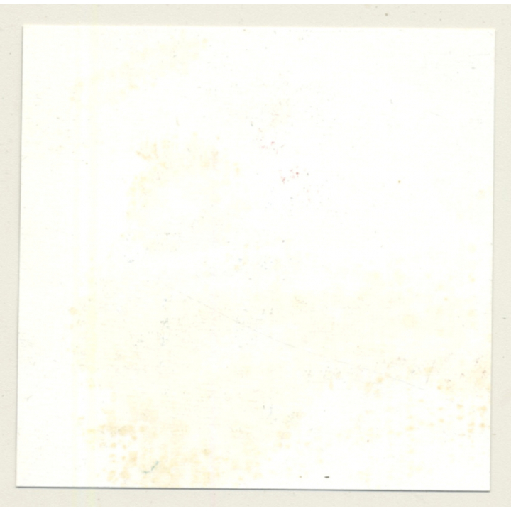 3 Lacquer Ladies In Hot Catfight *6 / Wrestling (Vintage Contact Sheet Photo 1970s)